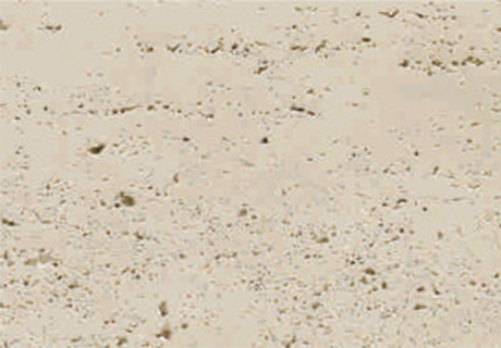 环亚集团·AG88(中国游)官方网站